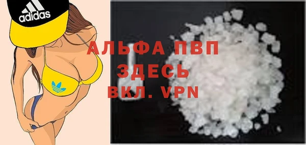 ГАЛЛЮЦИНОГЕННЫЕ ГРИБЫ Осинники