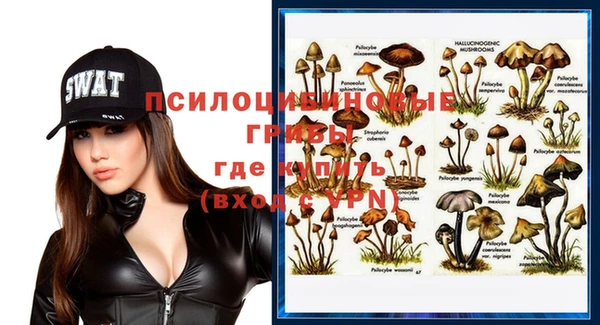 прущий лед Осташков