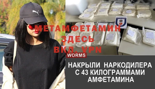 ГАЛЛЮЦИНОГЕННЫЕ ГРИБЫ Осинники