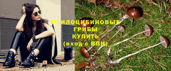MESCALINE Дубовка